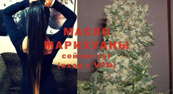 хмурый Дмитровск