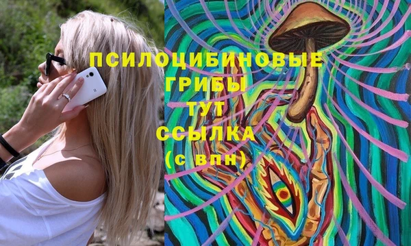 хмурый Дмитровск
