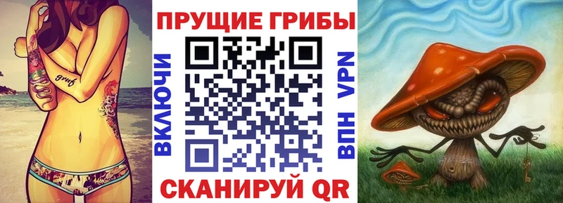 Псилоцибиновые грибы Cubensis  цены   Осинники 
